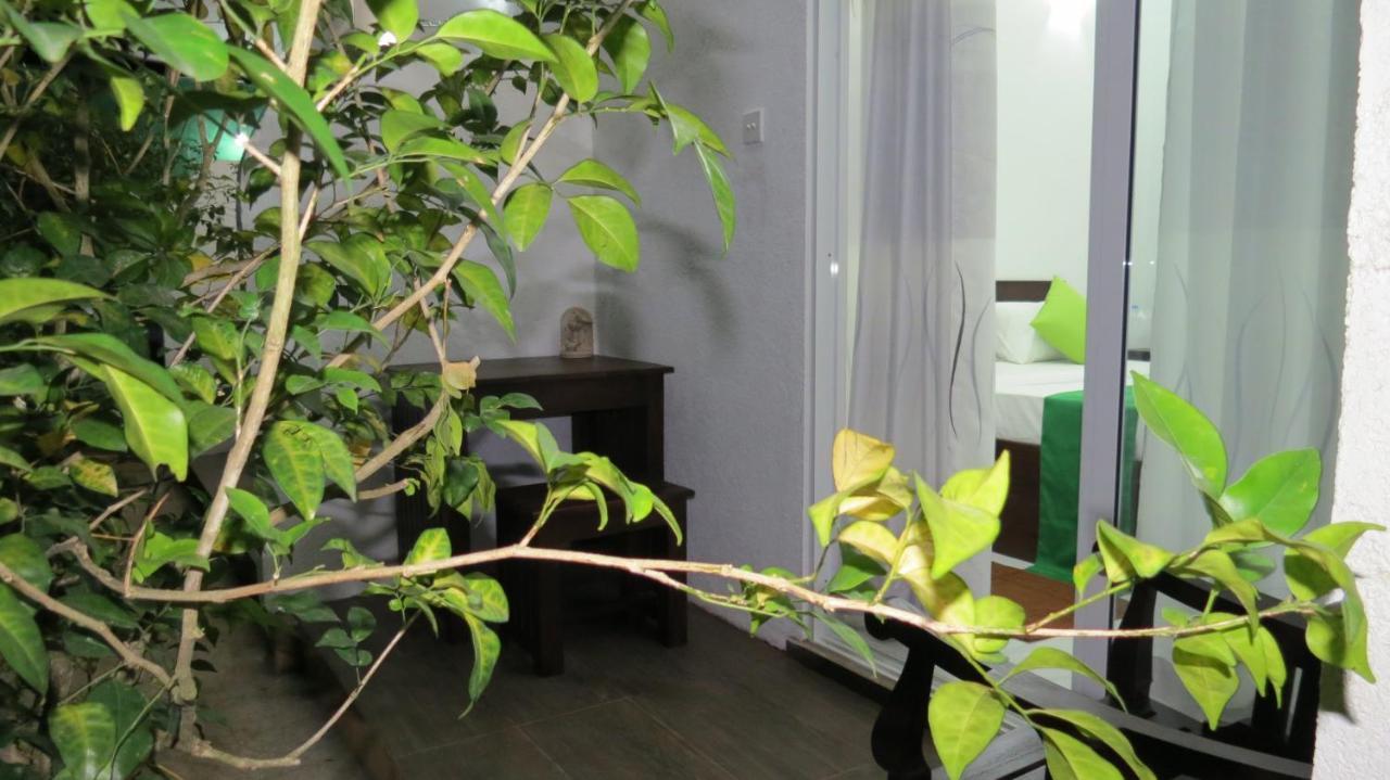 Senomaal Sigiri Resort Dambulla Exterior foto